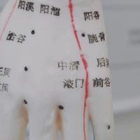 画像430