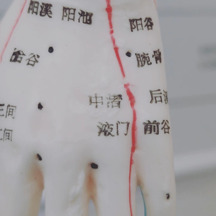 画像430